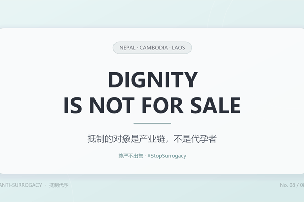 跨国产业链——